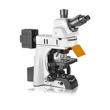 NE900科研级正置生物显微镜