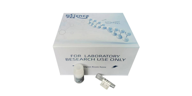 СPѡ(P-Selectin/CD62P)ELISA KitMouse P-Selectin ELISA kit2022̬Ѹ¡ɹ/Ƽ